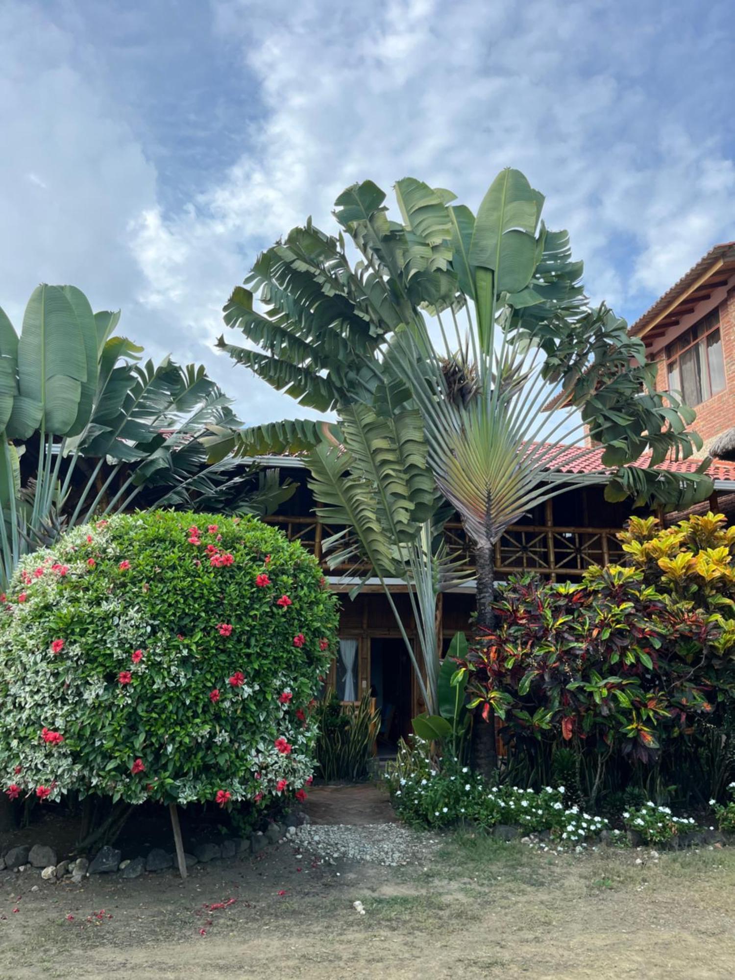 Victor Hugo Hotel Puerto López Zewnętrze zdjęcie